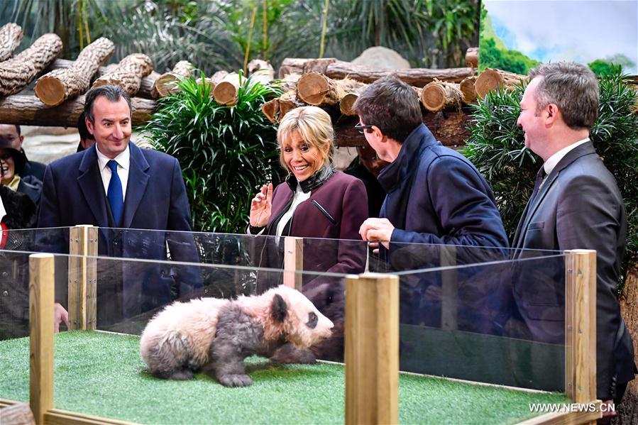 France : Brigitte Macron participe au baptême d'un bébé panda