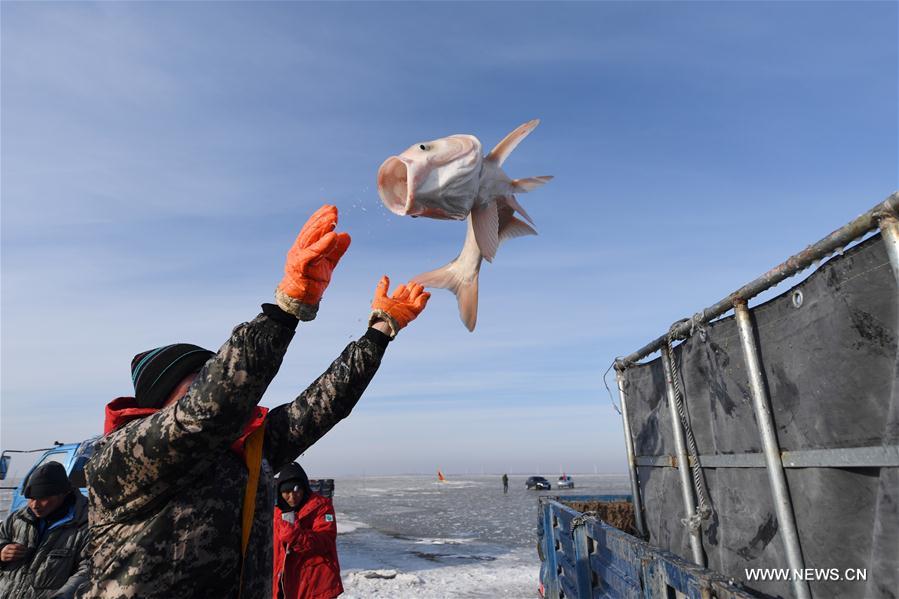 Chine : pêche hivernale sur le lac Chagan
