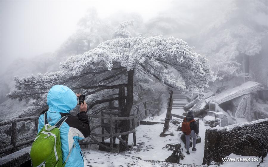 Chine : le mont Huangshan sous la neige