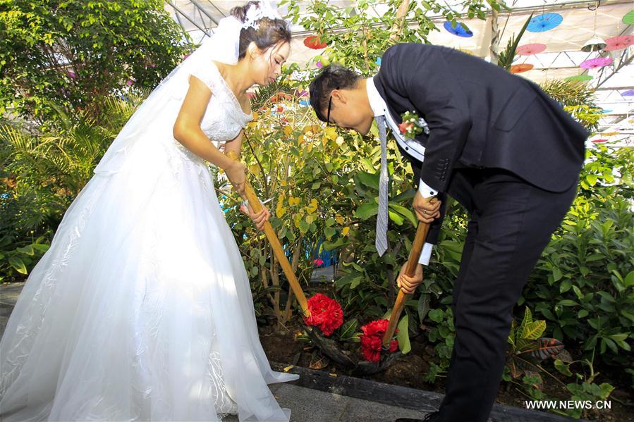 Chine : cérémonie de mariage de groupe à Yinchuan