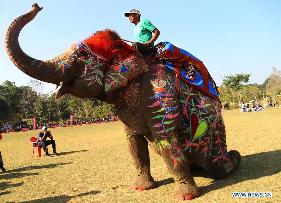 Népal : festival des éléphants à Sauraha