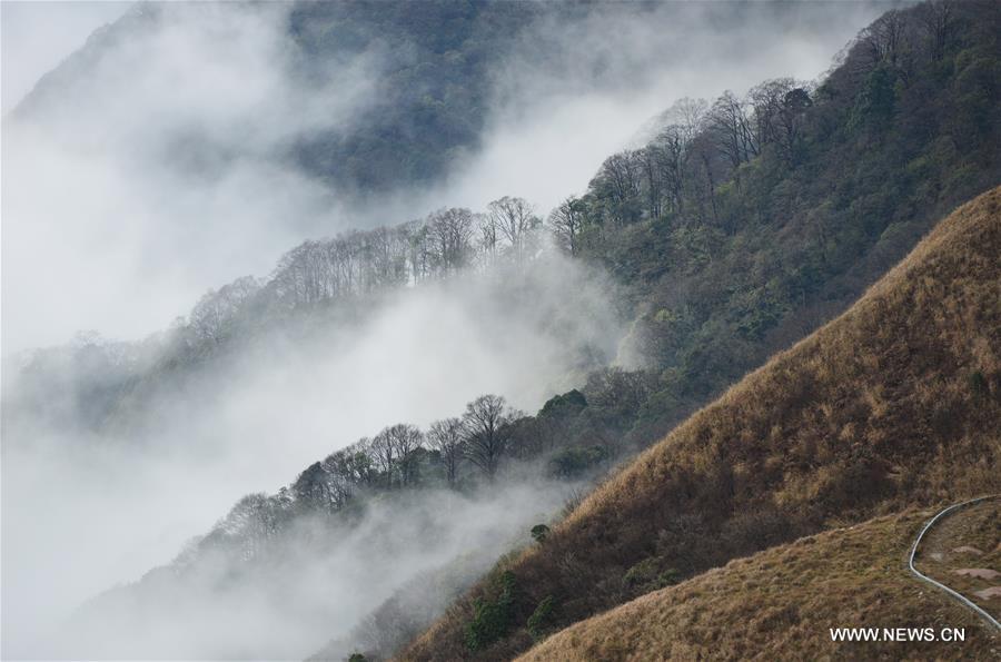 Chine : mer de nuages dans le parc géologique national de Miaoling