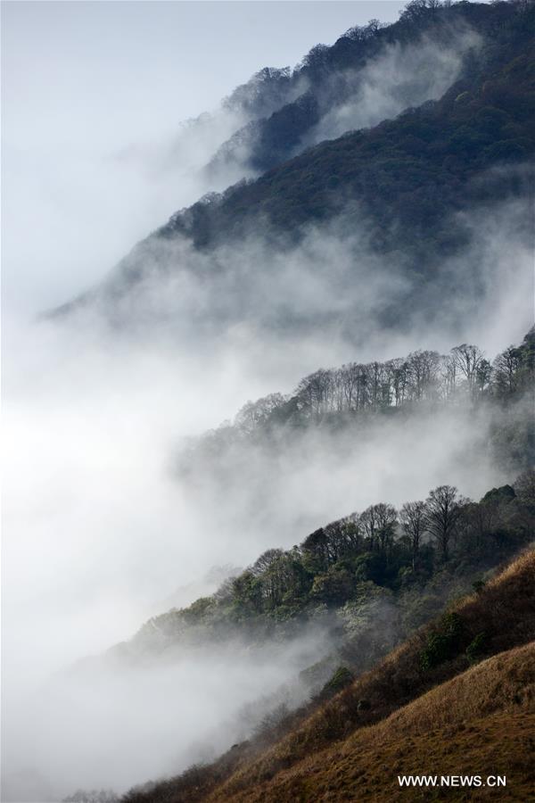 Chine : mer de nuages dans le parc géologique national de Miaoling