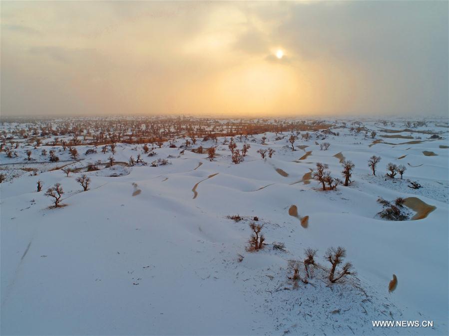 Chine : paysage enneigé du désert du Taklimakan