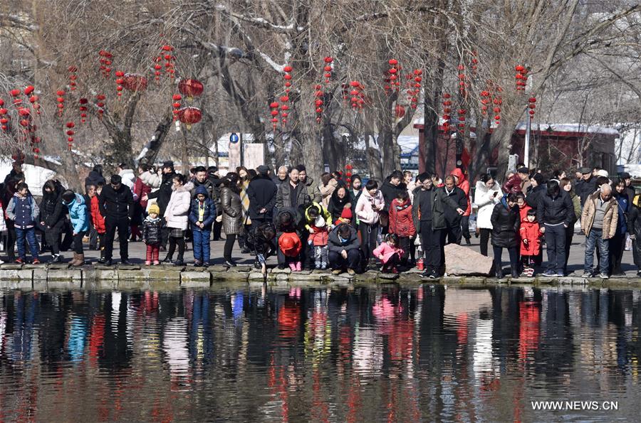 Chine : paysage de neige dans un parc à Urumqi