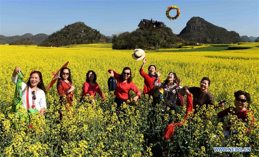 Chine : champs de colza en fleurs au Yunnan