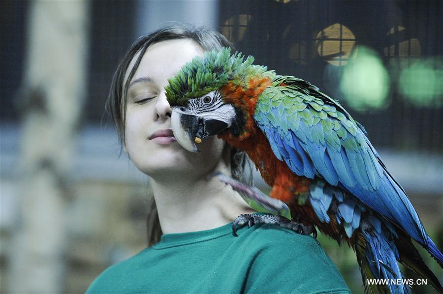 Pologne : Académie des perroquets à Varsovie