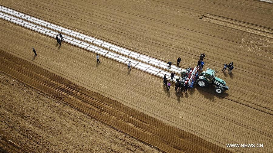 Chine : tracteurs automatiques au Xinjiang