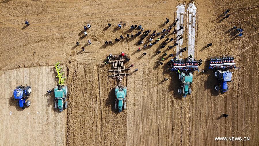 Chine : tracteurs automatiques au Xinjiang