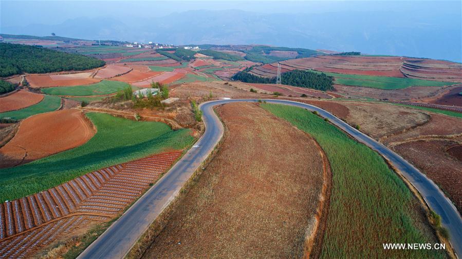 Chine : paysage de terre rouge dans le Yunnan