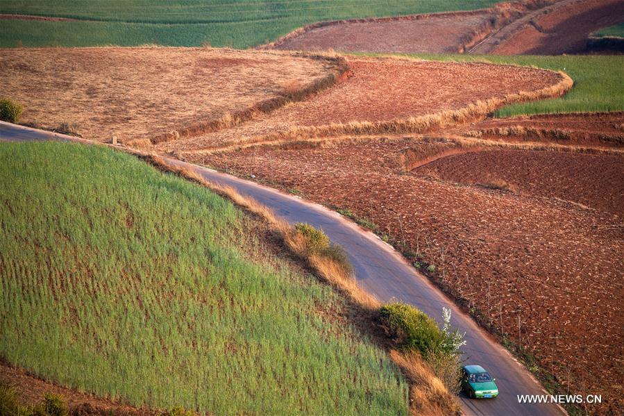 Chine : paysage de terre rouge dans le Yunnan