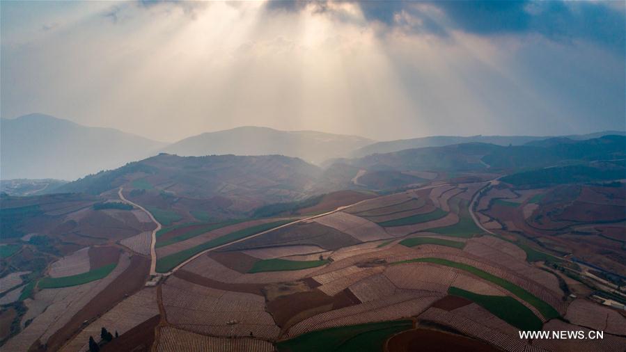 Chine : paysage de terre rouge dans le Yunnan