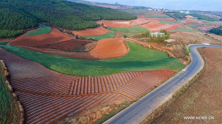 Chine : paysage de terre rouge dans le Yunnan