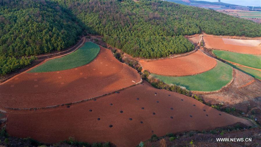 Chine : paysage de terre rouge dans le Yunnan