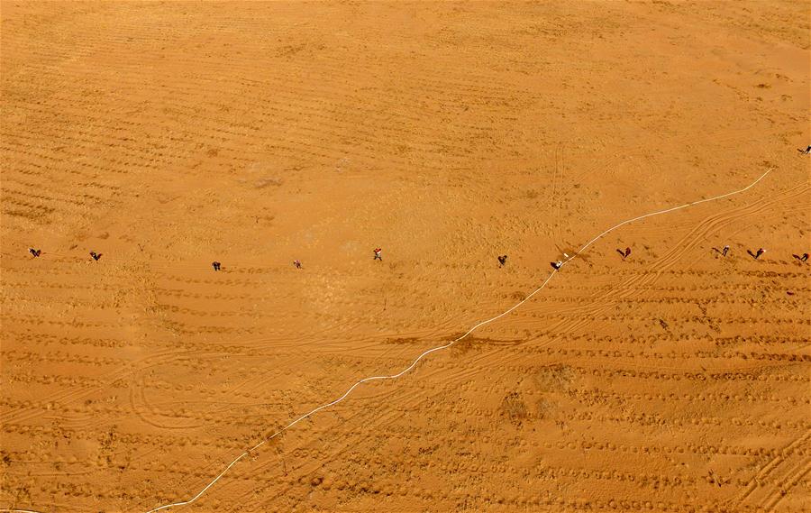 Chine : progrès du reboisement du désert en Mongolie intérieure