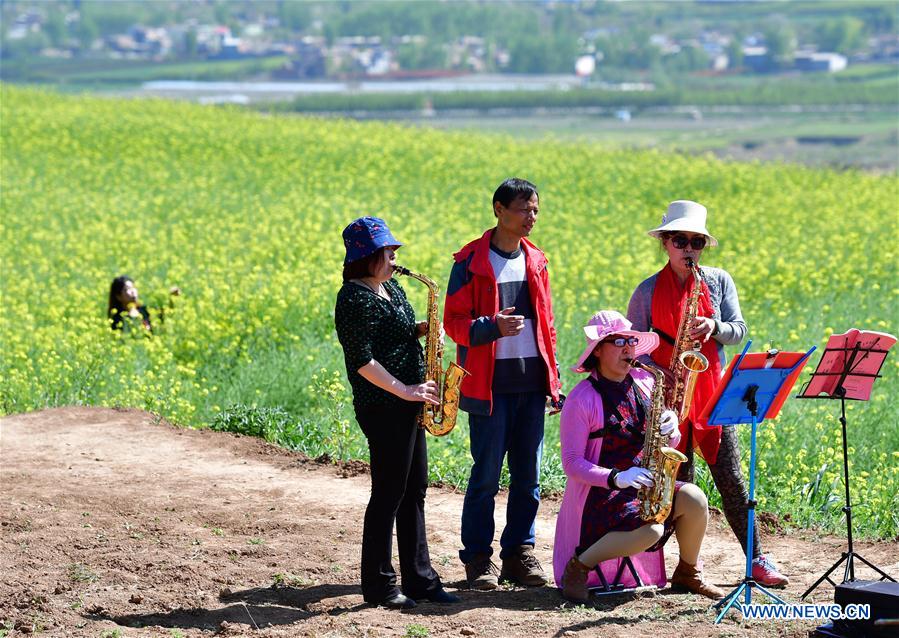Chine : paysage de champs de colza dans le nord-ouest