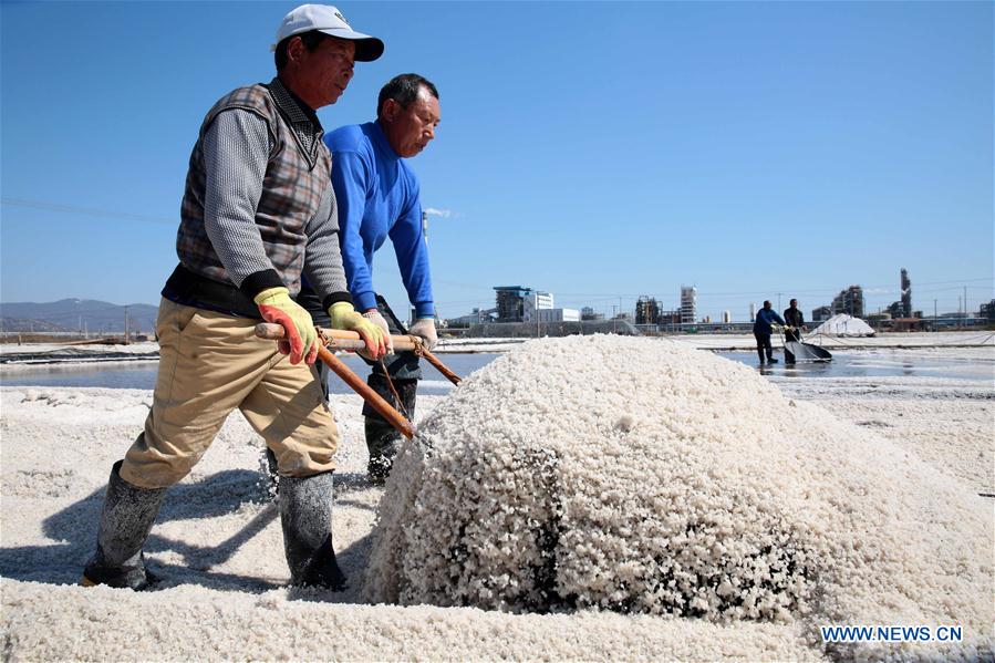 Récolte du sel dans l'est de la Chine