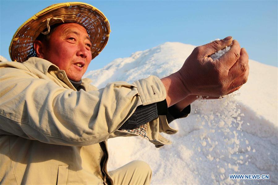 Récolte du sel dans l'est de la Chine