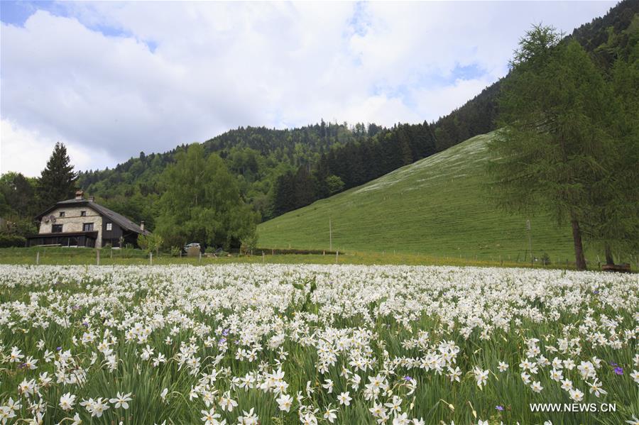 Admirez la neige de mai en Suisse