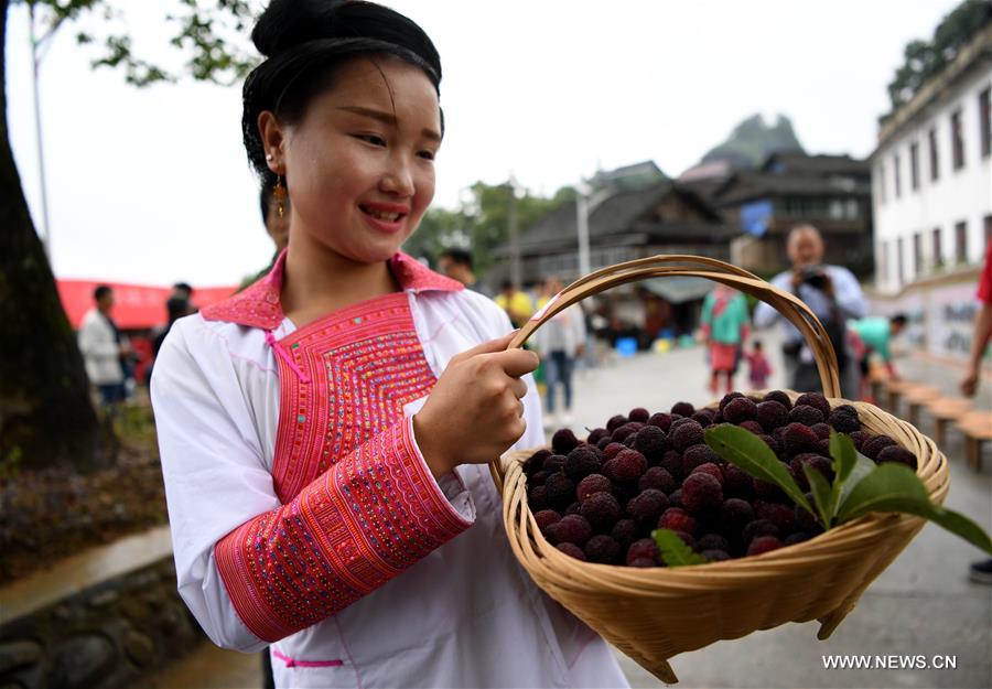 Festival des fraises chinoises dans le sud-ouest de la Chine