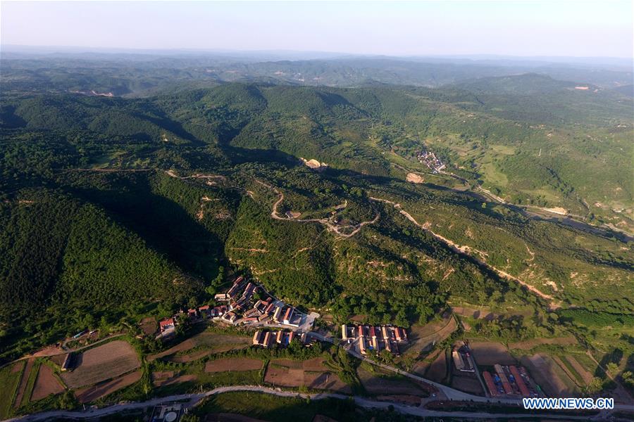 Chine : paysage de forêts dans le nord