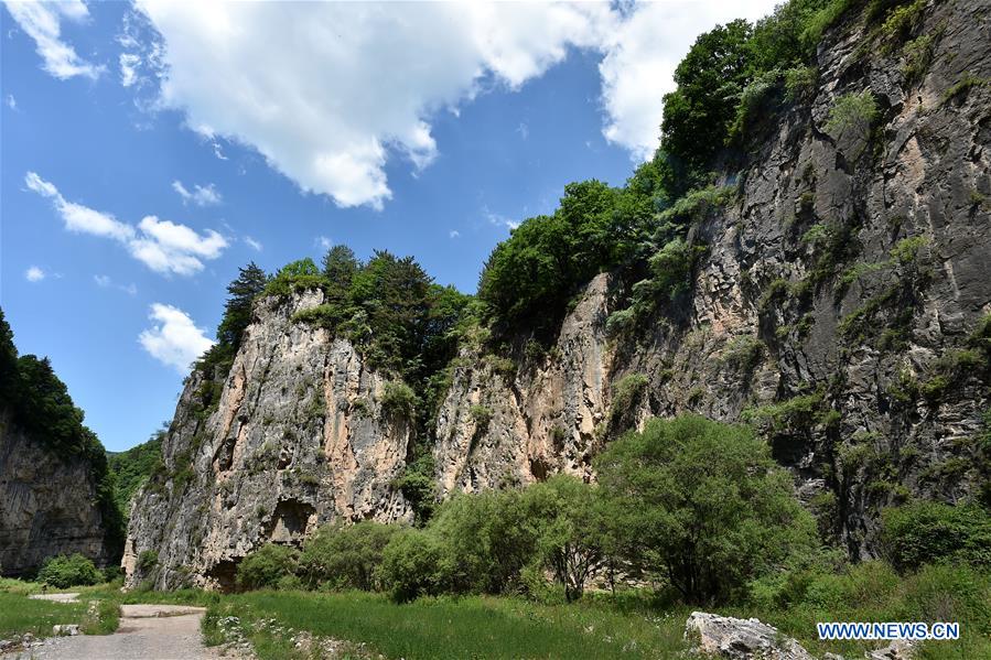 Chine : paysage de forêts dans le nord