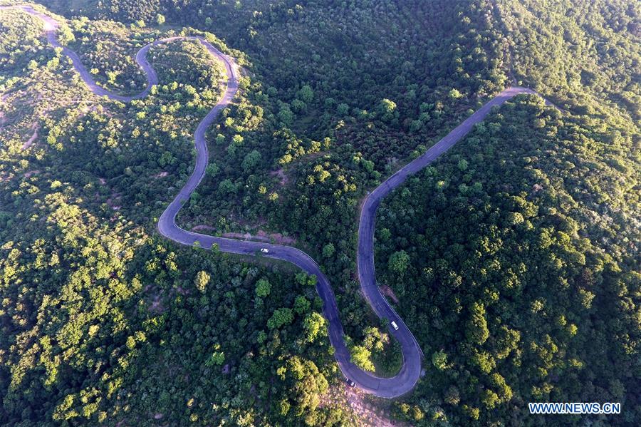 Chine : paysage de forêts dans le nord