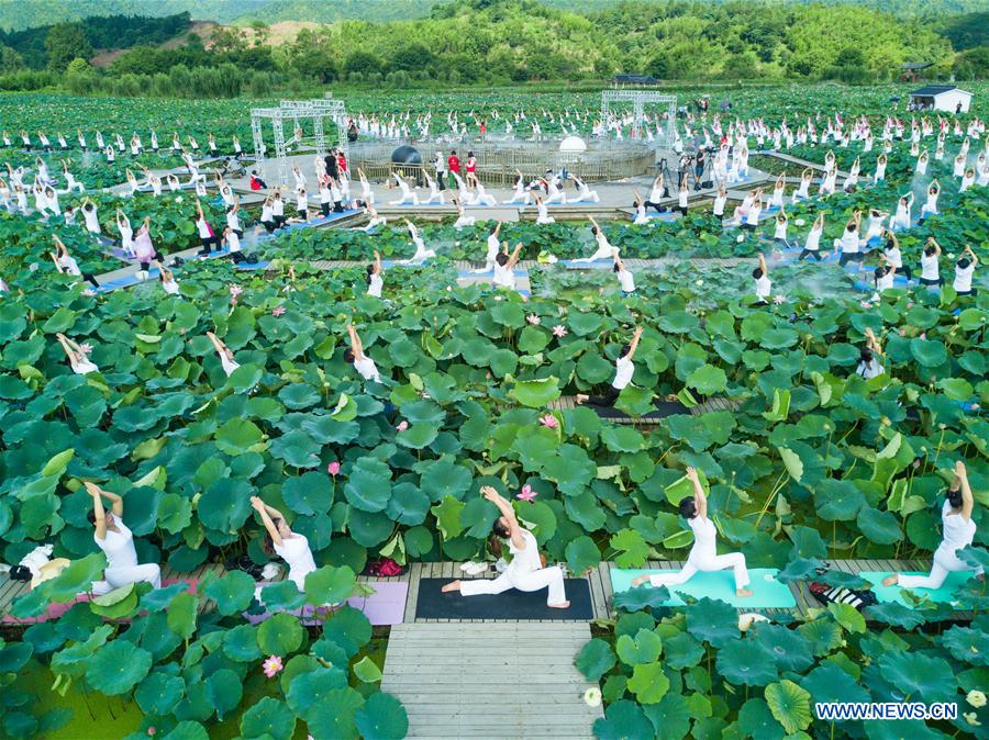 Chine : pratique du yoga au milieu de fleurs de lotus