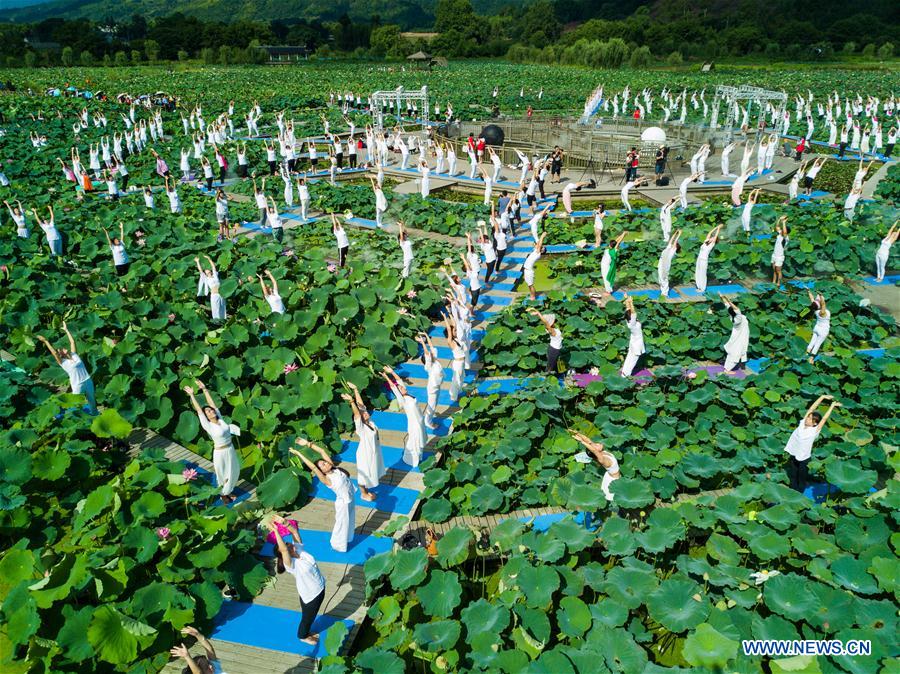 Chine : pratique du yoga au milieu de fleurs de lotus