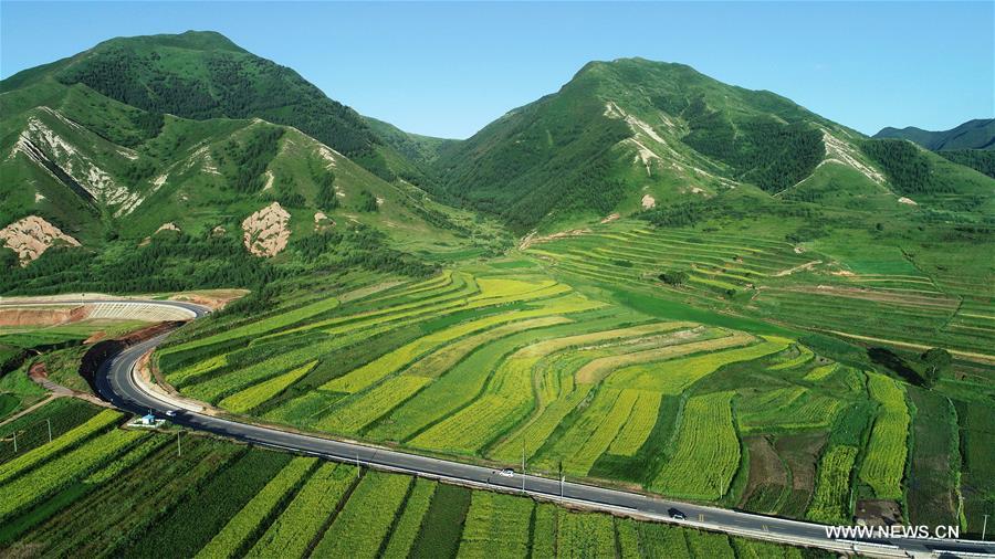 Chine : paysage du Ningxia