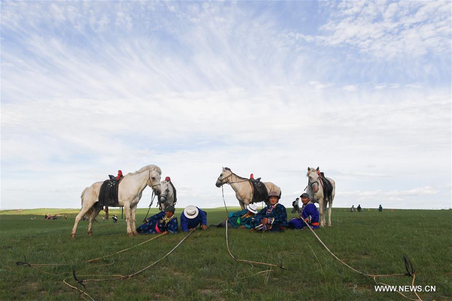 Chine : élevage de chevaux blancs en Mongolie intérieure 