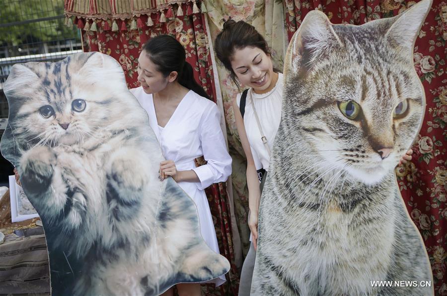 Canada : festival des chats à Vancouver