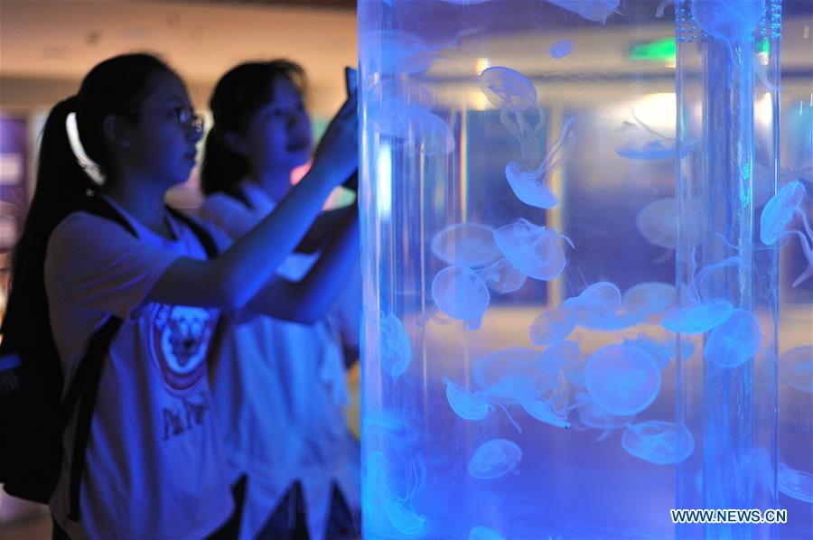Chine : méduses dans un musée dans le sud-ouest