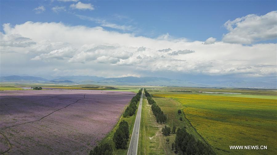 Chine : construction de routes au Xinjiang