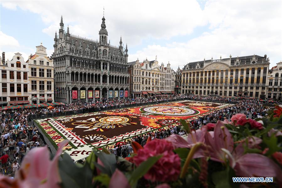 Belgique : tapis de fleurs 2018