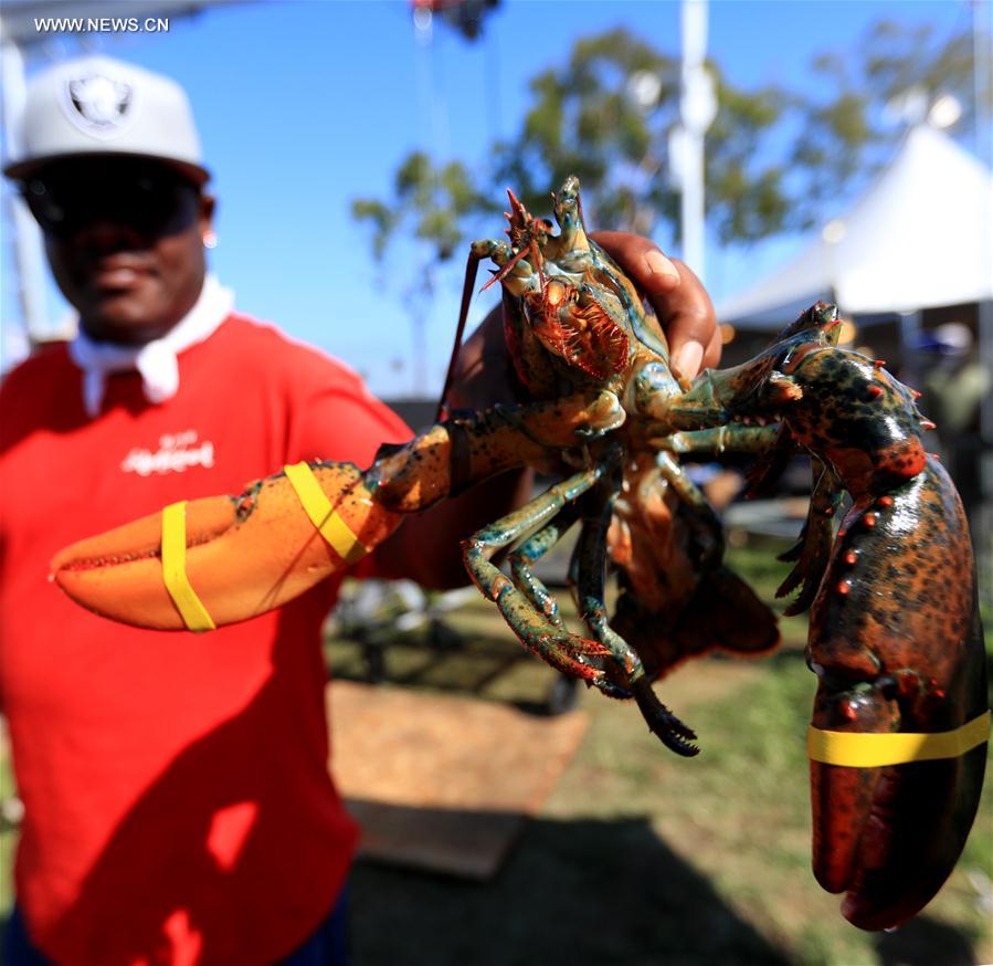 Etats-Unis : festival des langoustes &agrave; Los Angeles