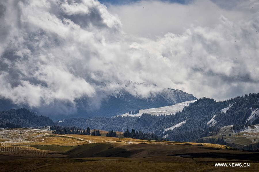Chine : paysage de Jiangbulake dans le Xinjiang