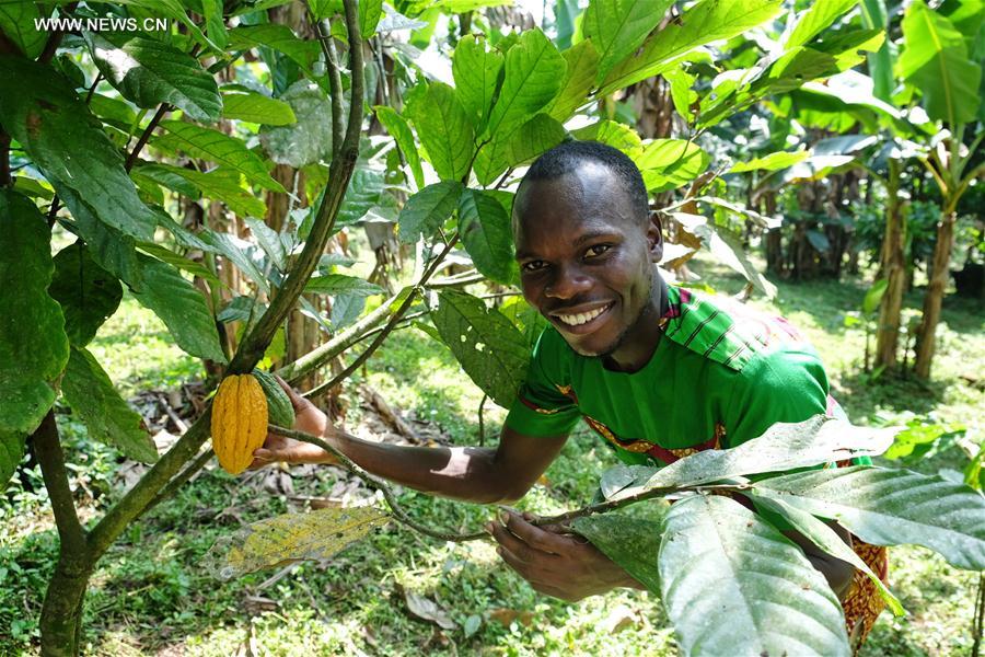 Le Ghana fait du cacao son principal produit à la CIIE