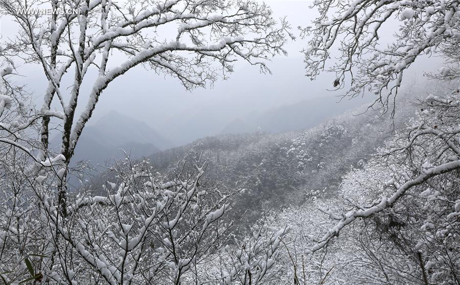 Chine : paysage de Guiguling au Shaanxi