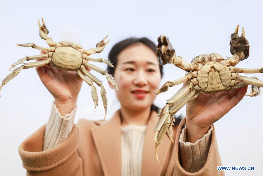 Chine : aquaculture des crabes sur le Lac Hongze