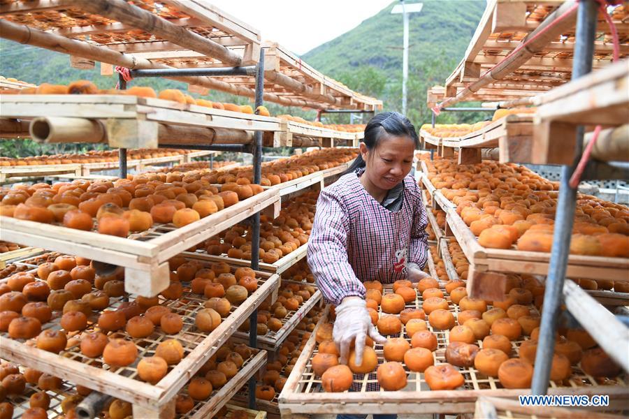 Chine : l'industrie fruitière au Guangxi