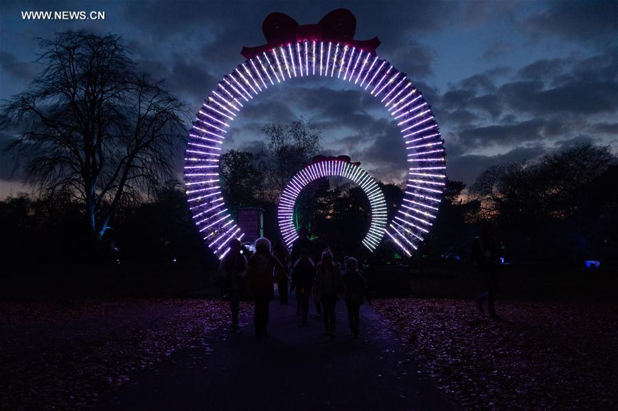 Londres : illuminations de Noël à Kew Gardens