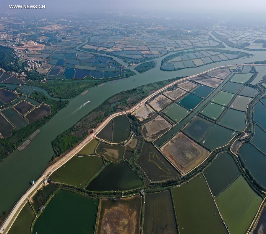 Chine : vues aériennes d'étangs dans le sud-ouest