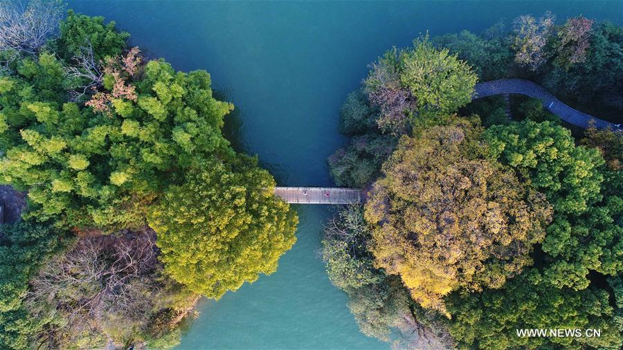 Chine : paysage du Lac Nianjia à Changsha