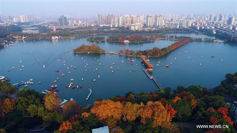 Chine : paysage du Lac Nianjia à Changsha