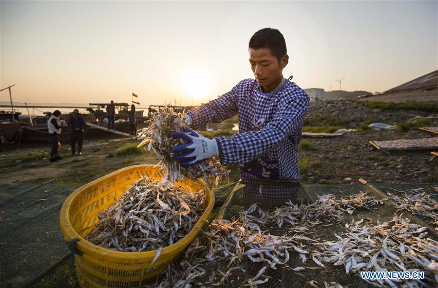 Chine : séchage du poisson au bord du lac Poyang