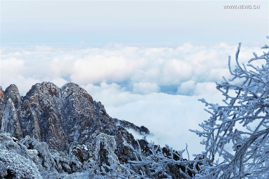 Chine : paysage enneigé des monts Huangshan