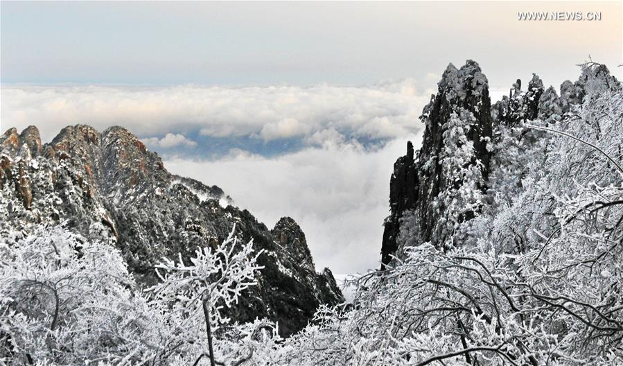 Chine : paysage enneigé des monts Huangshan