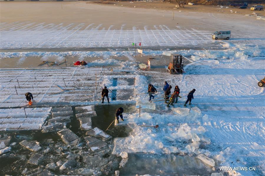 Chine : la glace de la rivière Songhua deviendra sculptures