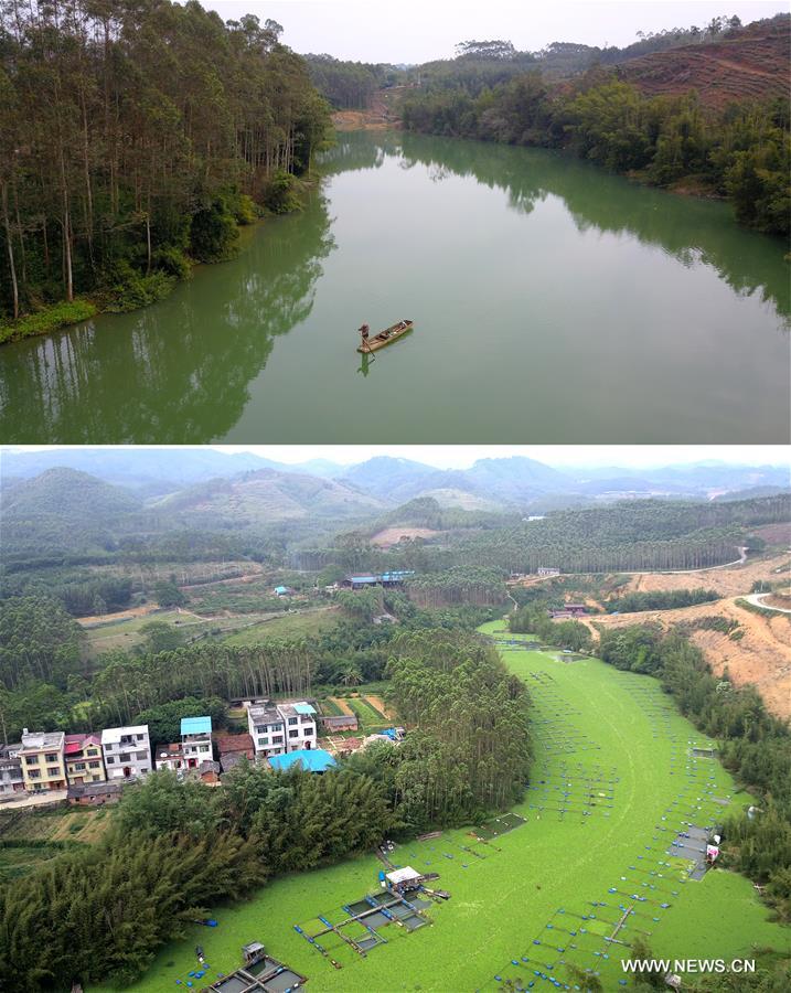 Chine : environnement aquatique de Liuzhou au Guangxi (sud)